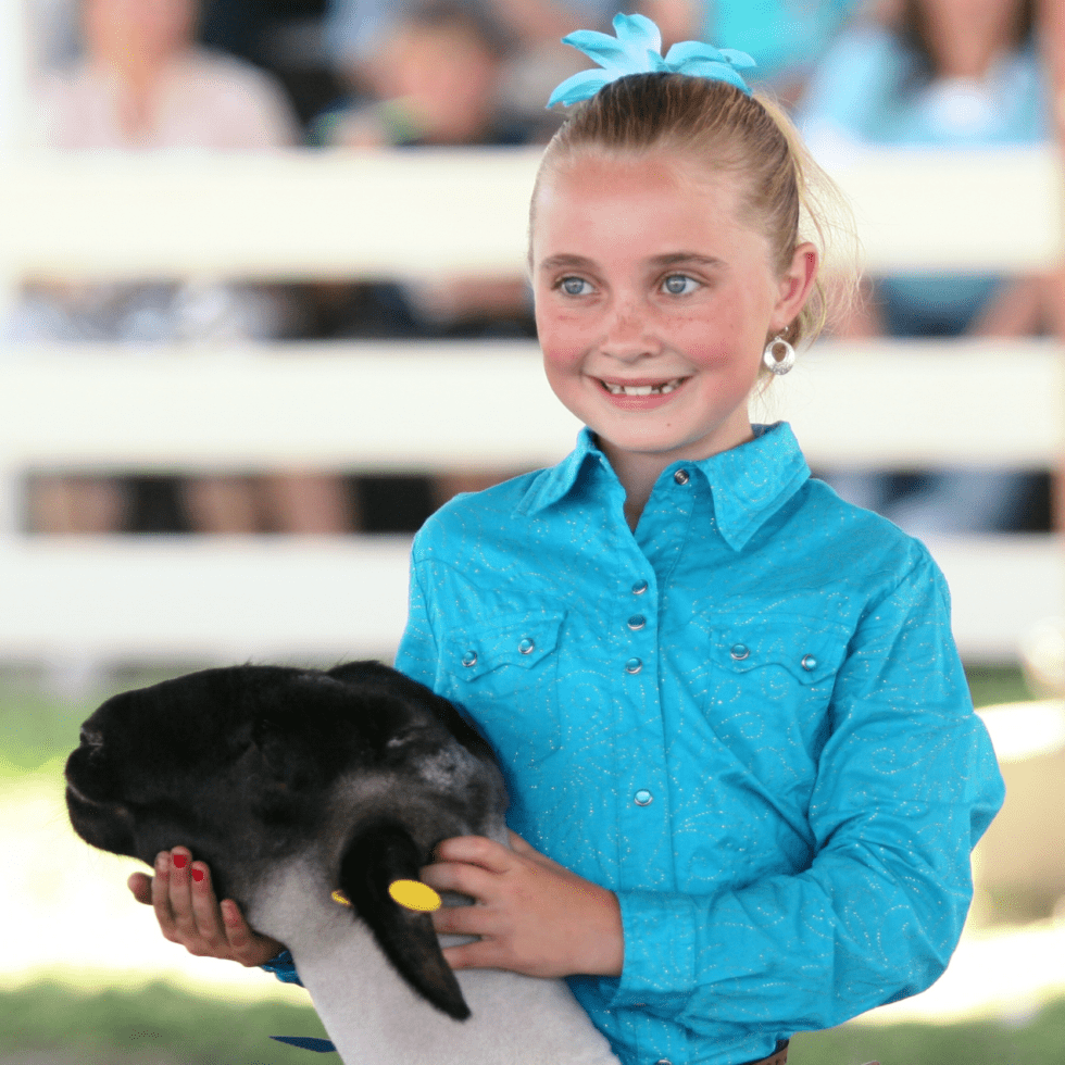 Junior Livestock Auction Tri County Fair CA